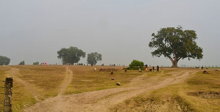 प्राचीन पुरातात्त्विक स्थलको हब सिसहनिया कोट