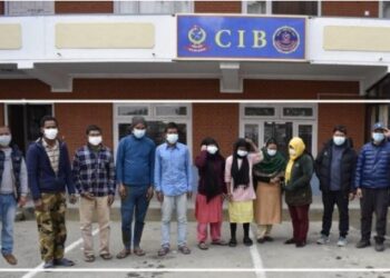 गैँडाको खाग खरिद बिक्रीमा संलग्न पन्ध्र जना पक्राउ