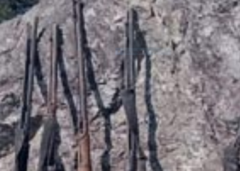 जंगली गुफामा बेवारिसे ५ नाल भरुवा बन्दुक फेला, प्रहरीद्वारा अनुसन्धान जारी