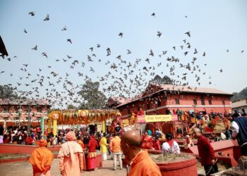 सात लाख भक्तजनले गरे पशुपतिको मूल मन्दिरको दर्शन
