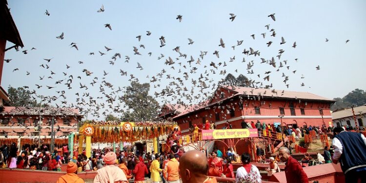 सात लाख भक्तजनले गरे पशुपतिको मूल मन्दिरको दर्शन