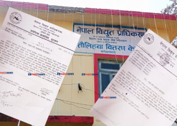 बीना स्विचका सडक बत्तीको लाईन काट्दै प्राधिकरण