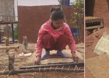 पढाइसँगै गुन्द्री बुन्न व्यस्त सविना