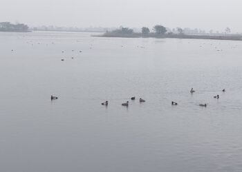 आज विश्व–सिमसार दिवस ःसंरक्षण अभावमा सिमसार क्षेत्र मासिँदै