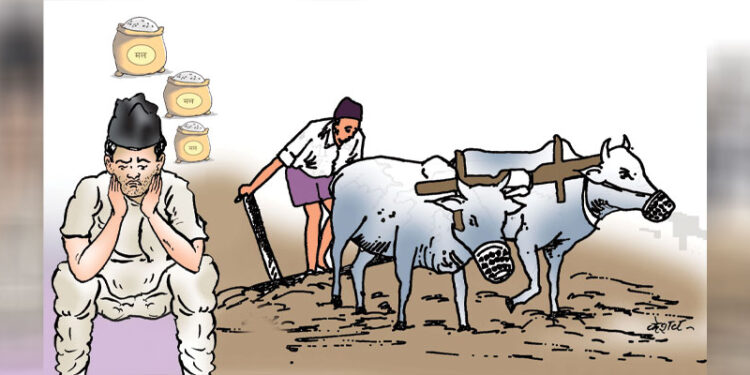 बजेट अभावले जीटुजीको मल नआउने