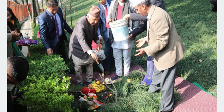 राष्ट्रपति पौडेलद्वारा वनकालीमा वृक्षरोपण