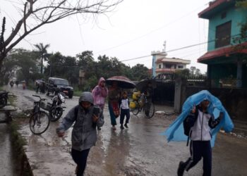 कैलालीमा निरन्तर मुसलधारे झरी