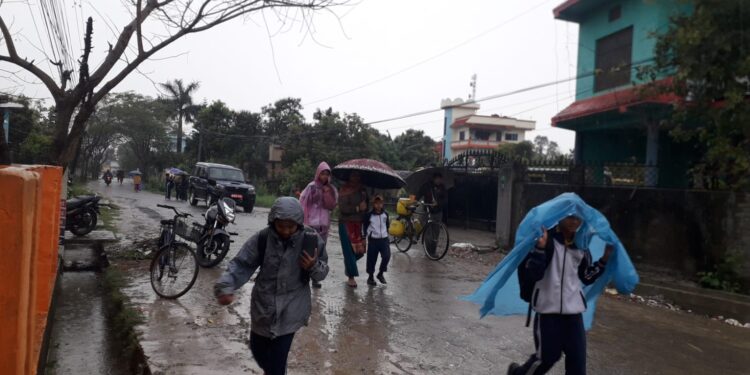 कैलालीमा निरन्तर मुसलधारे झरी