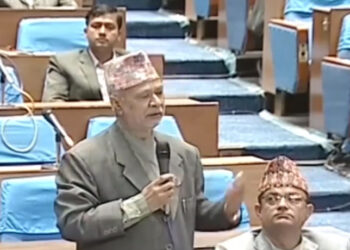 राष्ट्रपतिको सल्लाहकार प्रधानमन्त्री र मन्त्रिपरिषद् हो : नेता पन्त
