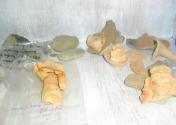 ऐतिहासिक पुरातात्विक क्षेत्र पंडितपुरको संरक्षण हुन सकेन
