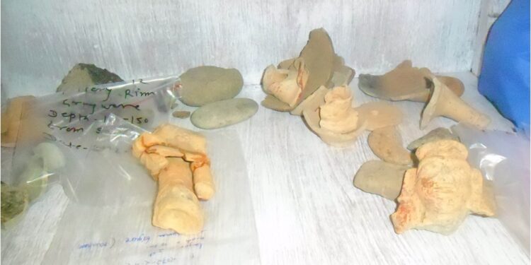 ऐतिहासिक पुरातात्विक क्षेत्र पंडितपुरको संरक्षण हुन सकेन