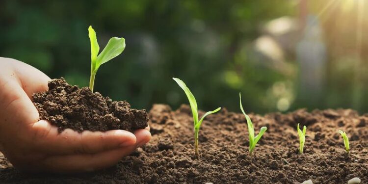 माटोको स्वास्थ्य र स्वस्थ माटोको महत्त्व