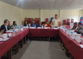 तिलौराकोटलाई विश्व सम्पदा सूचीमा सूचीकृतका लागि विज्ञसँग छलफल