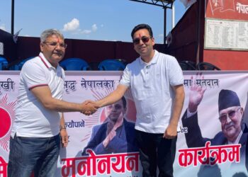 चितवन उपनिर्वाचन : केन्द्रीय नेता भोट माग्दै टोल–टोलमा