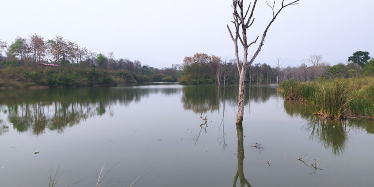 कृत्रिम जलाशय