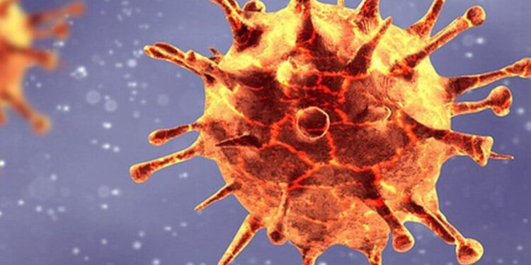 भारतबाट रोजगारी गरेर स्वदेश फर्किनेमा कोरोना सङ्क्रमण