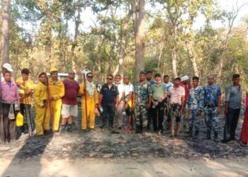 कैलालीको वनमा डढेलोबाट तुलनात्मक कम क्षति