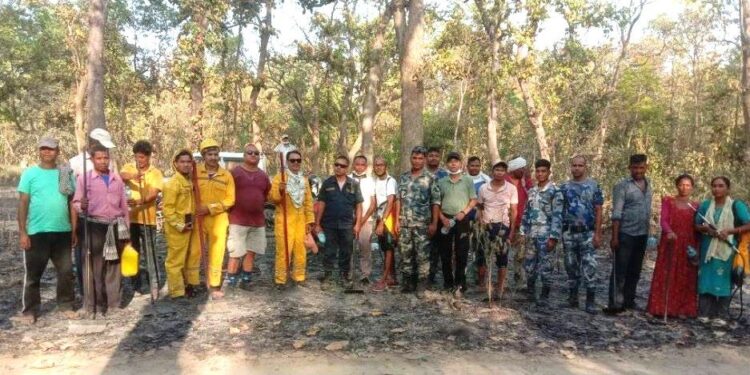 कैलालीको वनमा डढेलोबाट तुलनात्मक कम क्षति