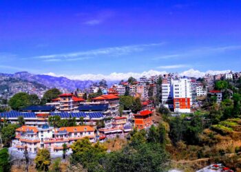 विश्वविद्यालयमा विद्यार्थीको संख्या घट्दै