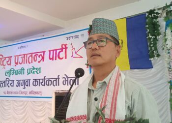 राष्ट्रिय स्वतन्त्र पार्टीको रंग अझै स्पष्ट छैन: अध्यक्ष लिङ्देन