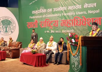 काठको आयात प्रतिस्थापन गर्दै निर्यातमा जोड दिनुपर्छ : प्रधानमन्त्री