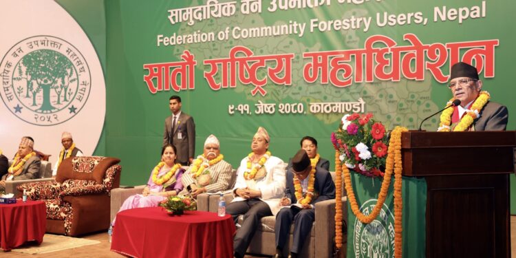 काठको आयात प्रतिस्थापन गर्दै निर्यातमा जोड दिनुपर्छ : प्रधानमन्त्री