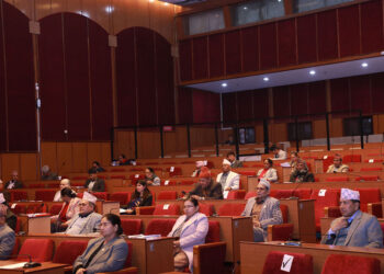राष्ट्रिय सरोकार समितिको बैठक बस्दै