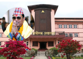 रेशम चौधरीको आममाफीविरुद्धको मुद्दामा आज सुनवाइ हुँदै