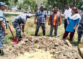 अबैध रुपमा ल्याइएको चल्ला नष्ट