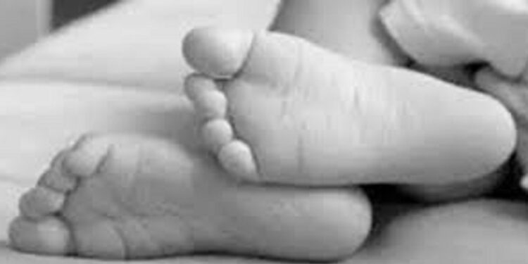 पाँचथरमा ट्याक्टरबाट खसेर दुई बालिकाको मृत्यु, दुई घाइते