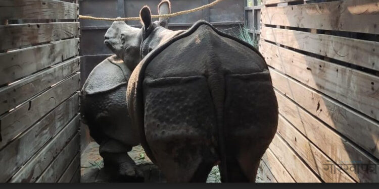 जङ्गलमा छाड्न पुष्पा र अञ्जलीलाई नियन्त्रणमा लिइयो