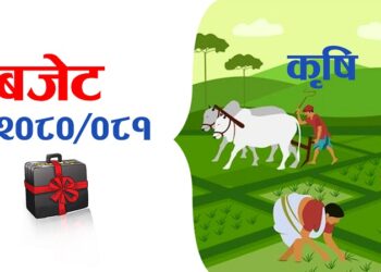 कृषि र पशुपक्षीको क्षेत्रमा ५९ अर्ब रुपैयाँ बजेट, उत्पादनका आधारमा मात्रै अनुदान दिइने
