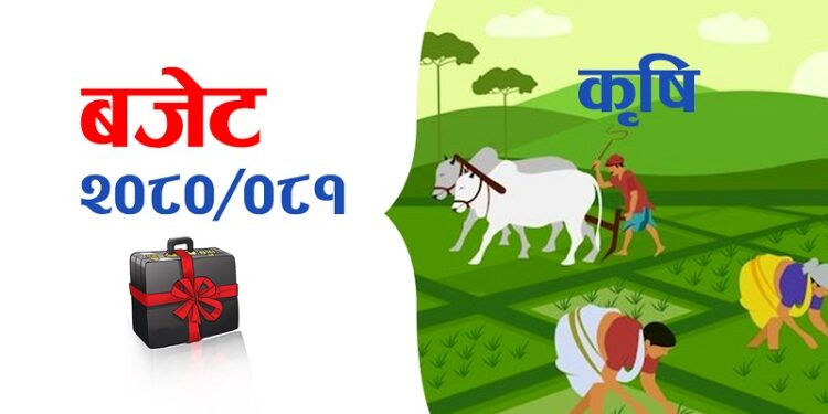 कृषि र पशुपक्षीको क्षेत्रमा ५९ अर्ब रुपैयाँ बजेट, उत्पादनका आधारमा मात्रै अनुदान दिइने