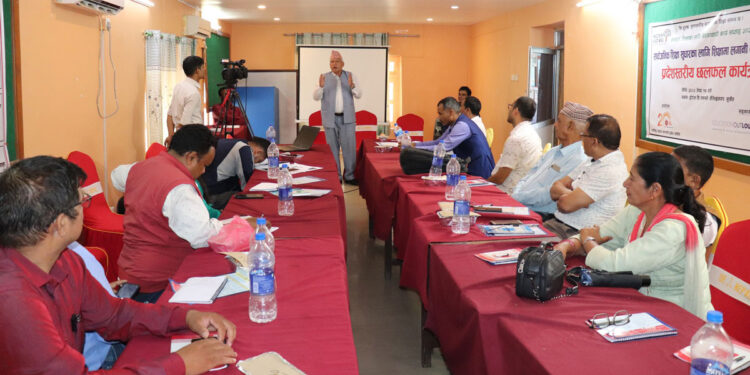 शिक्षा क्षेत्रमा लगानी बढाउन माग