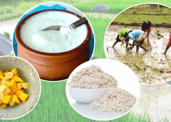 असार पन्ध्र : आज धान दिवस मनाइँदै