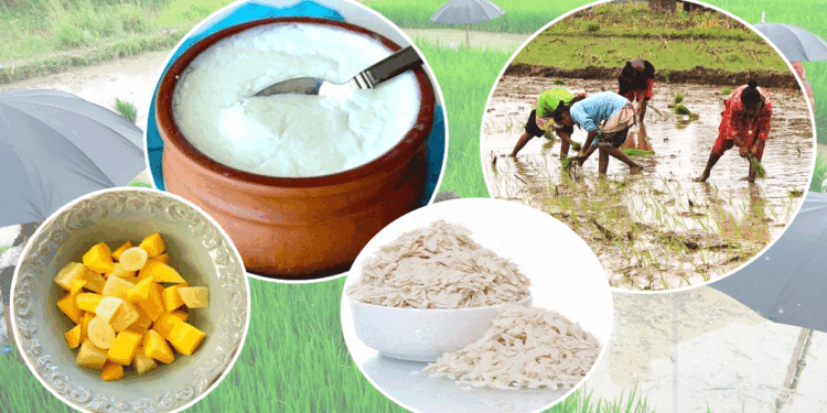 असार पन्ध्र : आज धान दिवस मनाइँदै