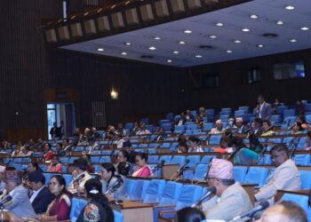 अपाङ्गता भएका बालबालिकाका लागि प्रारम्भिक हस्तक्षेप नीति विकास गर्न आग्रह