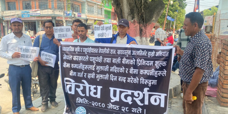 बिमाको रकम नपाएपछि तनहुँमा किसान आन्दोलित