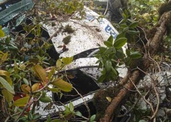 मनाङ एयरको हेलिकोप्टर दुर्घटनाबारे छानबिन समिति बनाइने
