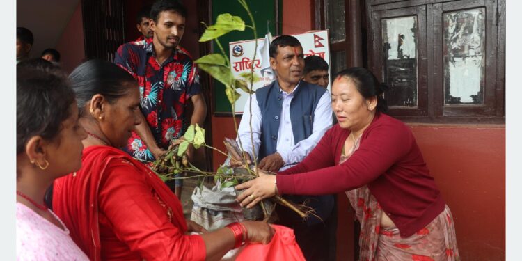 किसानलाई घाँसका बिरुवा वितरण