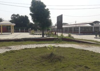 तरकारी थोकबजारका लागि बनेको संरचना उपयोगबिहीन