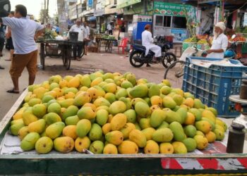 स्थानीय आँपको मूल्यमा भारी बृद्धि