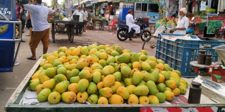 स्थानीय आँपको मूल्यमा भारी बृद्धि