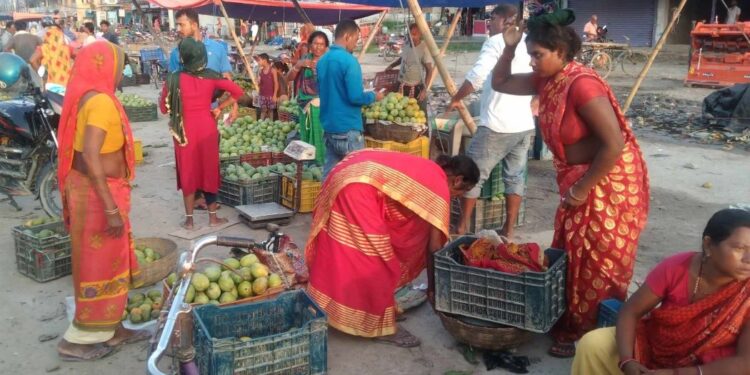 आँपको मूल्यमा दोब्बर वृद्धि