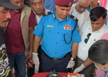 दुर्घटनाको प्रमुख कारक बन्दै ‘लापसे’