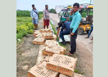 बाँकेमा अवैध आयात र तस्करी बढ्यो