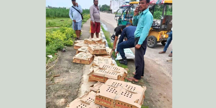 बाँकेमा अवैध आयात र तस्करी बढ्यो