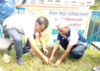 प्राधिकरणको वार्षिकोत्सवमा वृक्षरोपण