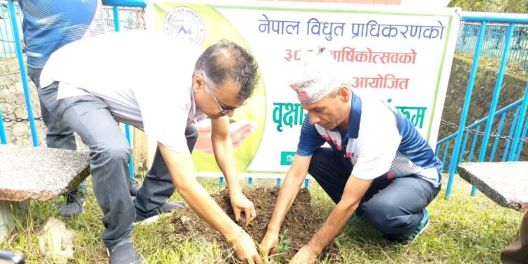 प्राधिकरणको वार्षिकोत्सवमा वृक्षरोपण