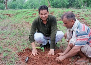 एक सय ११ हेक्टर जमिनमा वृक्षारोपण